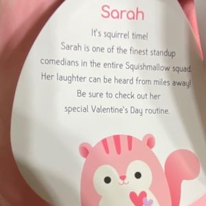 Squishmallow Pink Squirrel 